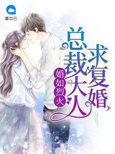 婚如烈酒总裁请放手