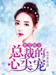 总裁蜜爱心尖妻全文阅读