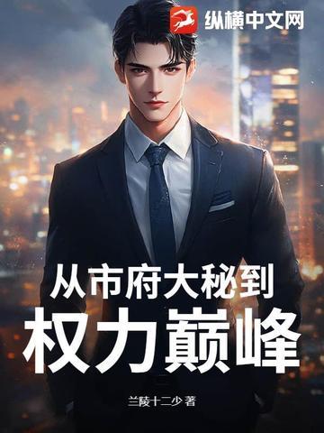 从市府大秘到权力巅峰结局