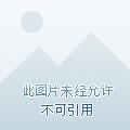 影视诸天从知否开始